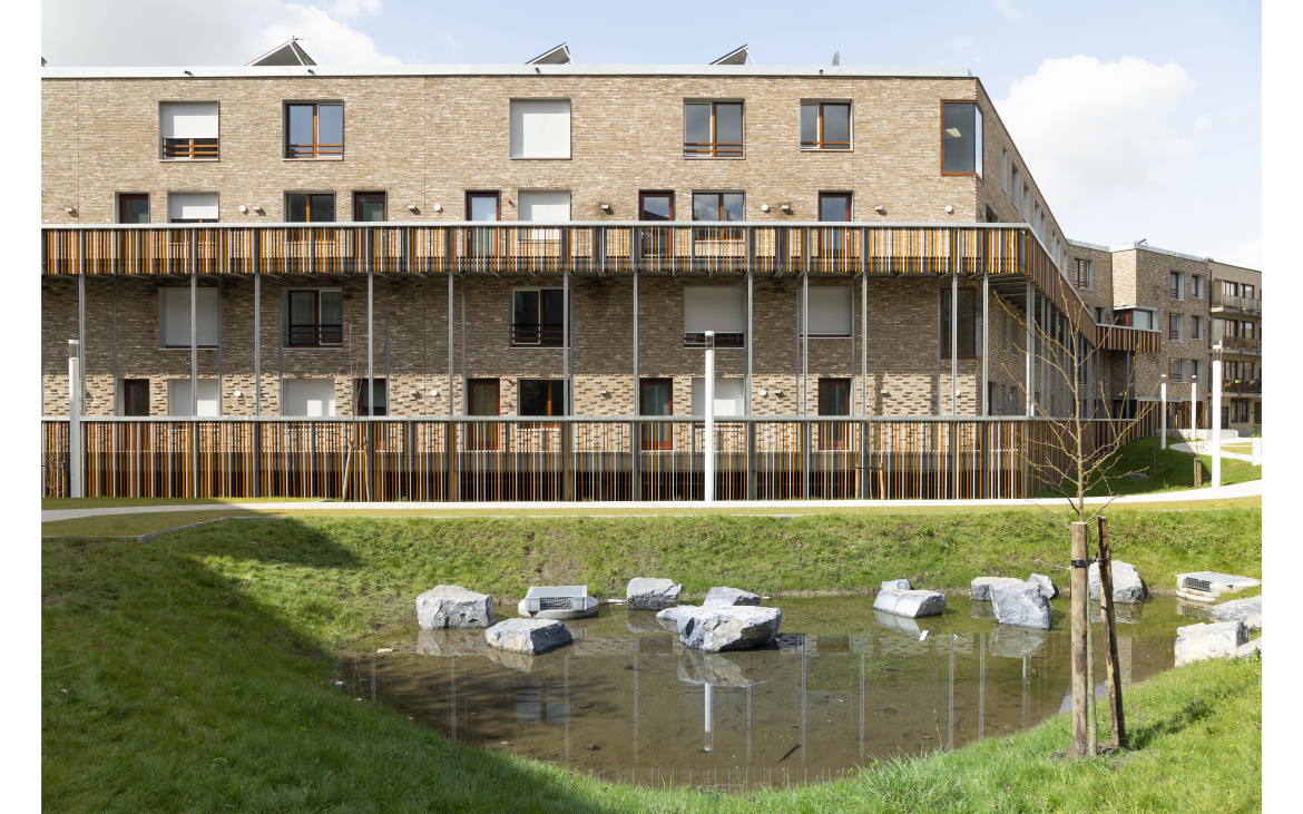 Intertwining urban ecology